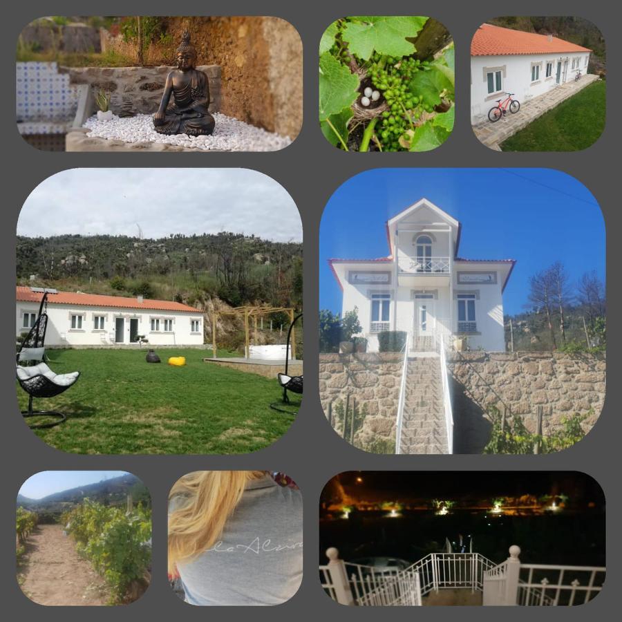 Villa Alzira Seia Exteriér fotografie