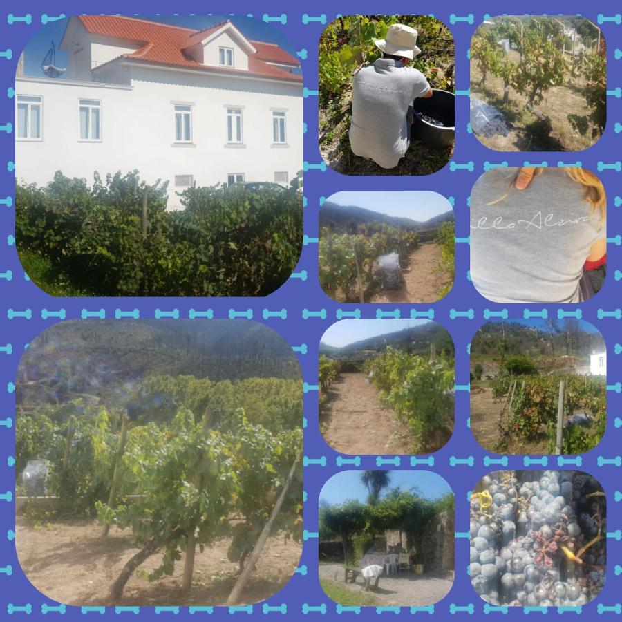 Villa Alzira Seia Exteriér fotografie