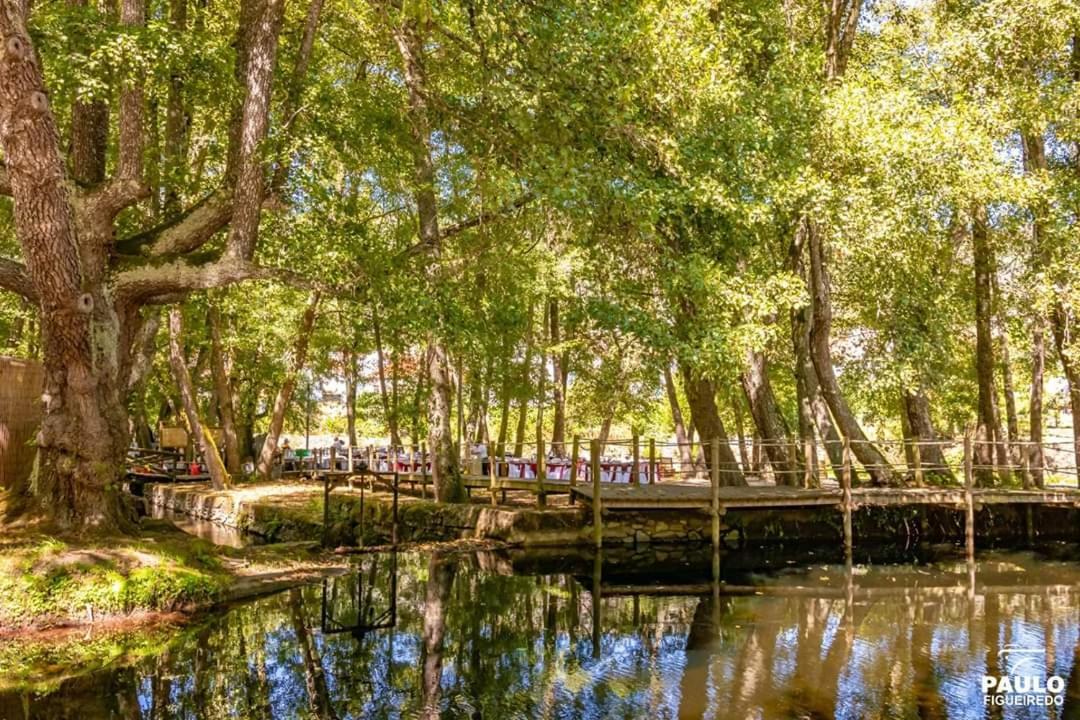 Villa Alzira Seia Exteriér fotografie
