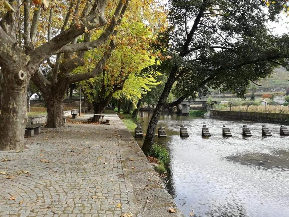 Villa Alzira Seia Exteriér fotografie